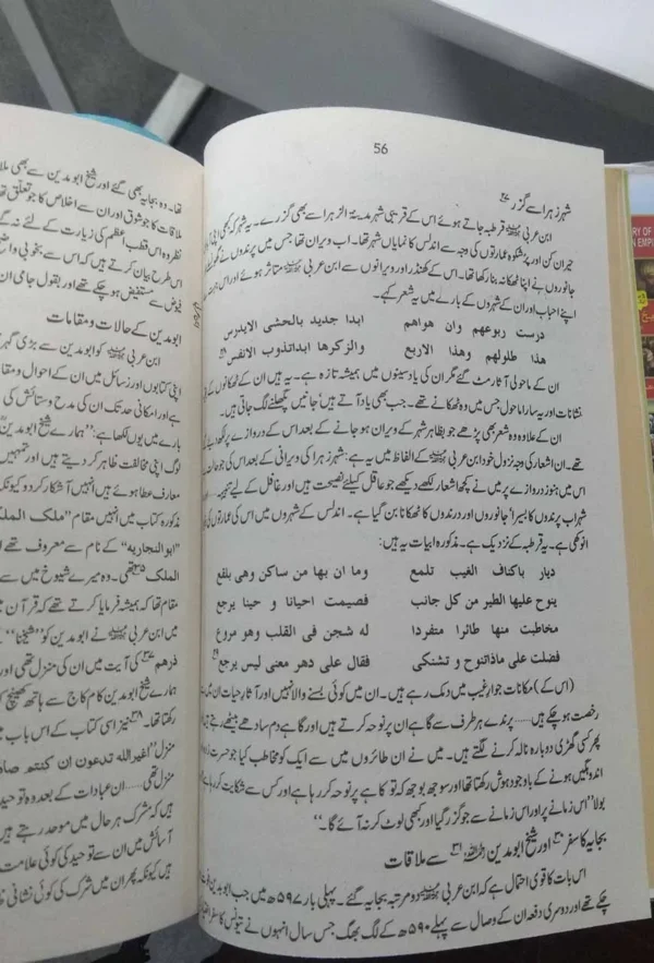 Ibn E Arbi ابنِ عربی - Image 4