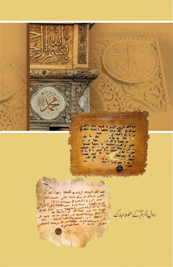 Khutbat E Seerat Un Nabi (SAW) By Allama Peer Muhammad Saqib Mustafia خطباتِ سیرت النبیﷺ از مولانا رضا ثاقب مصطفائی - Image 5