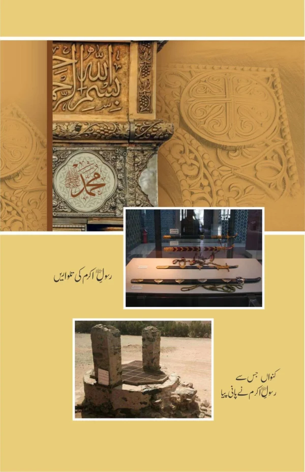Khutbat E Seerat Un Nabi (SAW) By Allama Peer Muhammad Saqib Mustafia خطباتِ سیرت النبیﷺ از مولانا رضا ثاقب مصطفائی - Image 6