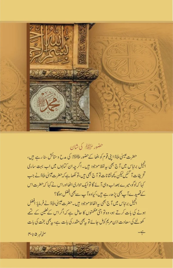 Khutbat E Seerat Un Nabi (SAW) By Allama Peer Muhammad Saqib Mustafia خطباتِ سیرت النبیﷺ از مولانا رضا ثاقب مصطفائی - Image 7